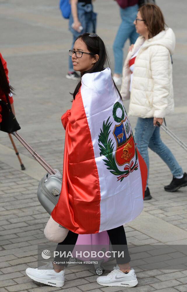 Болельщики ЧМ-2018 по футболу в Москве