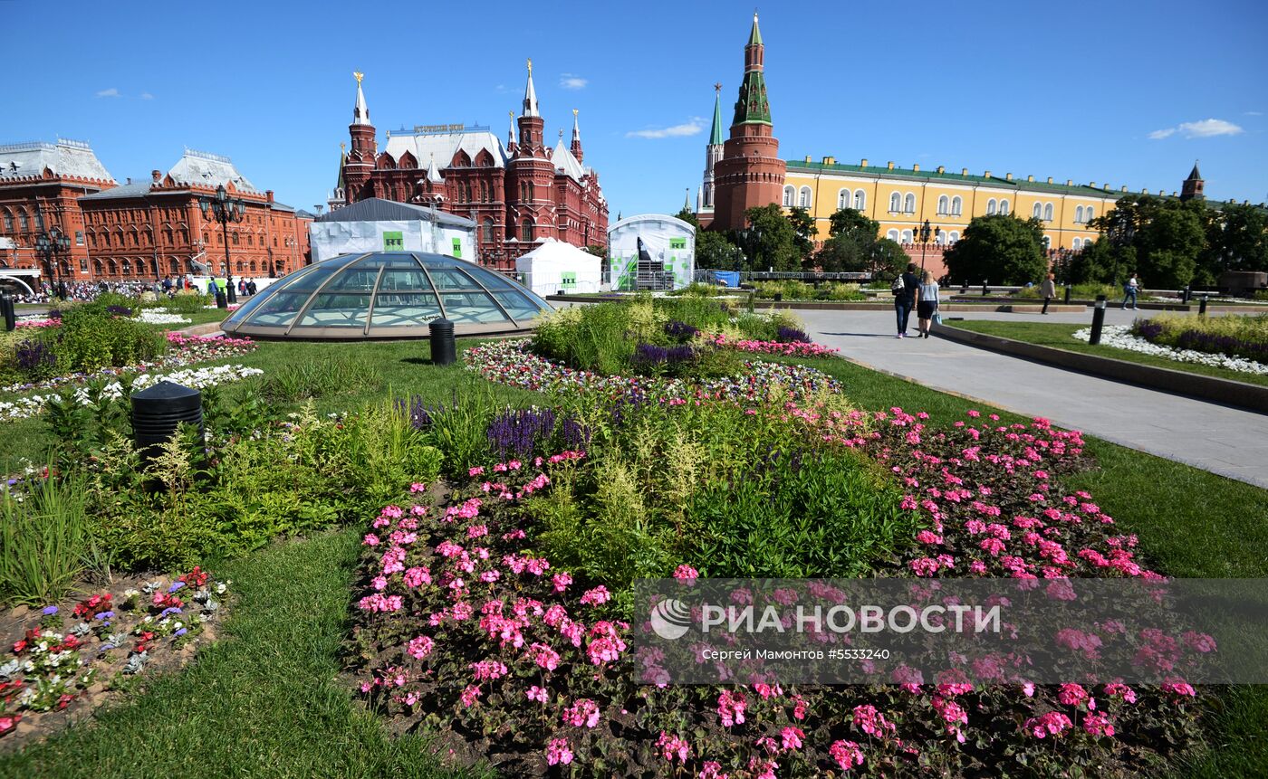 Цветники в Москве