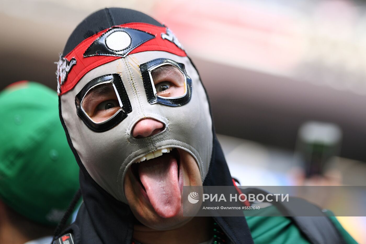 Болельщики перед матчем ЧМ-2018 по футболу между сборными Германии и Мексики