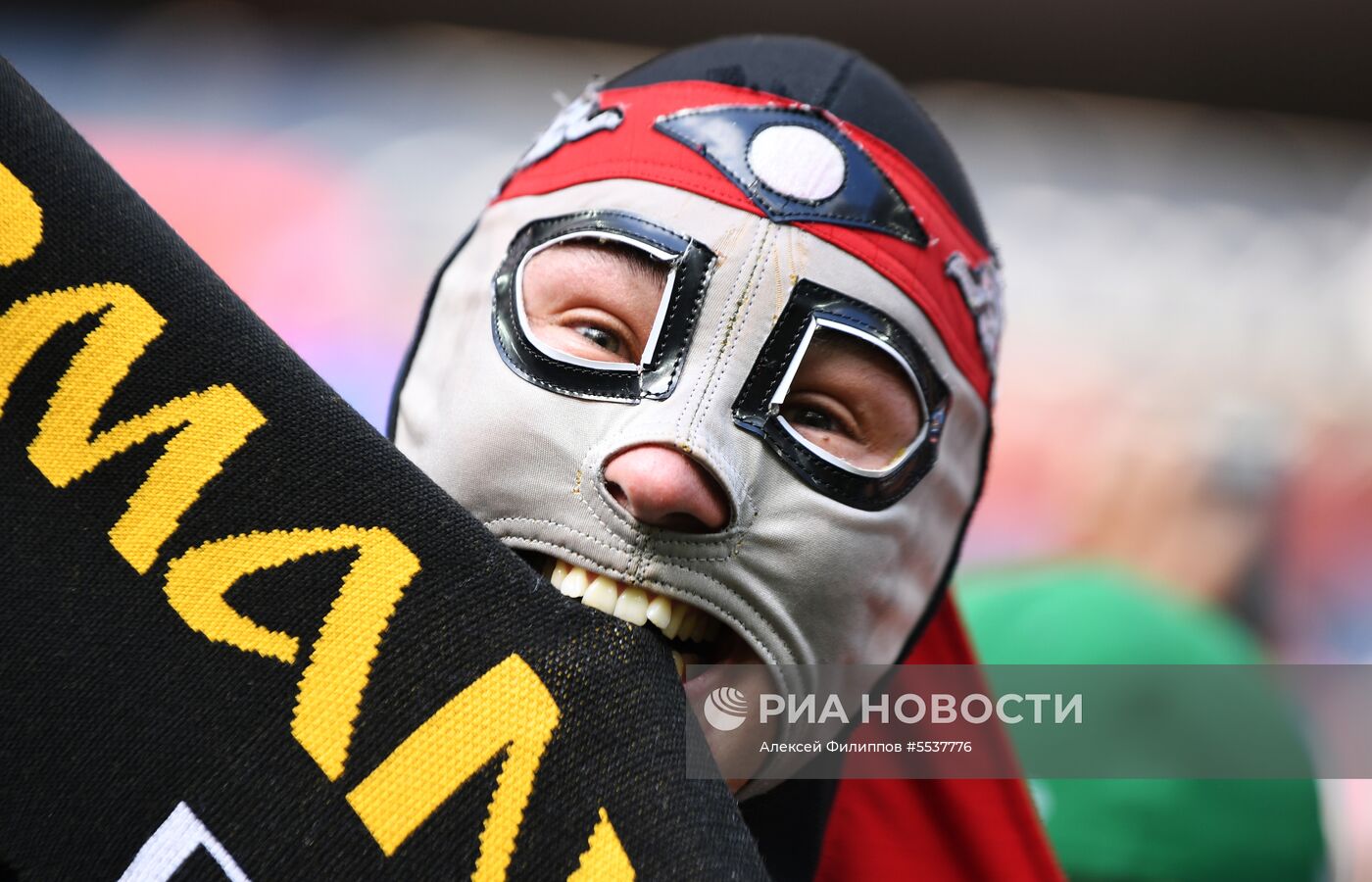 Болельщики перед матчем ЧМ-2018 по футболу между сборными Германии и Мексики