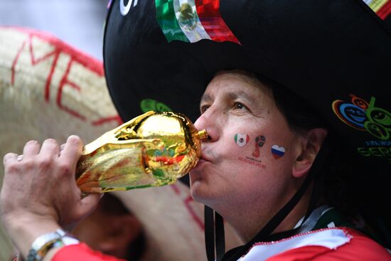 Футбол. ЧМ-2018. Матч Германия - Мексика 