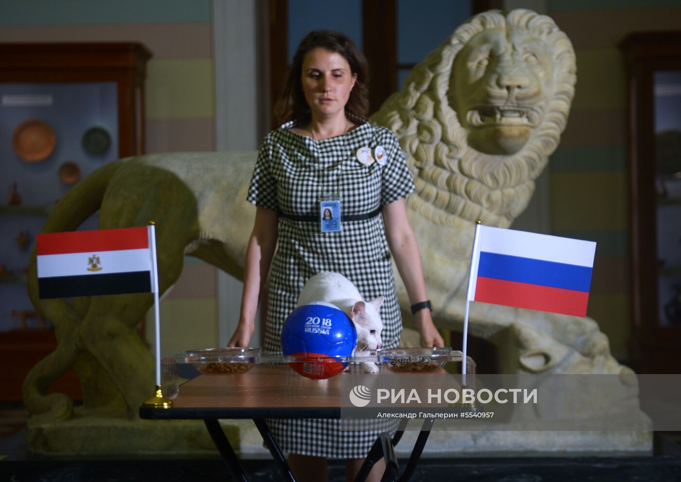 Кот Ахилл предсказал победу сборной России в матче ЧМ-2018 по футболу над сборной Египта