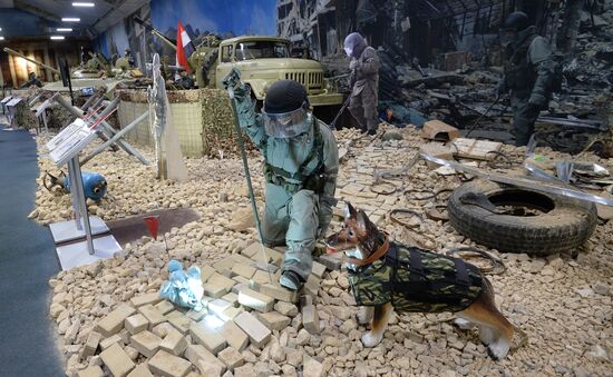 Брифинг по проблематике расследований случаев применения химоружия в Сирии