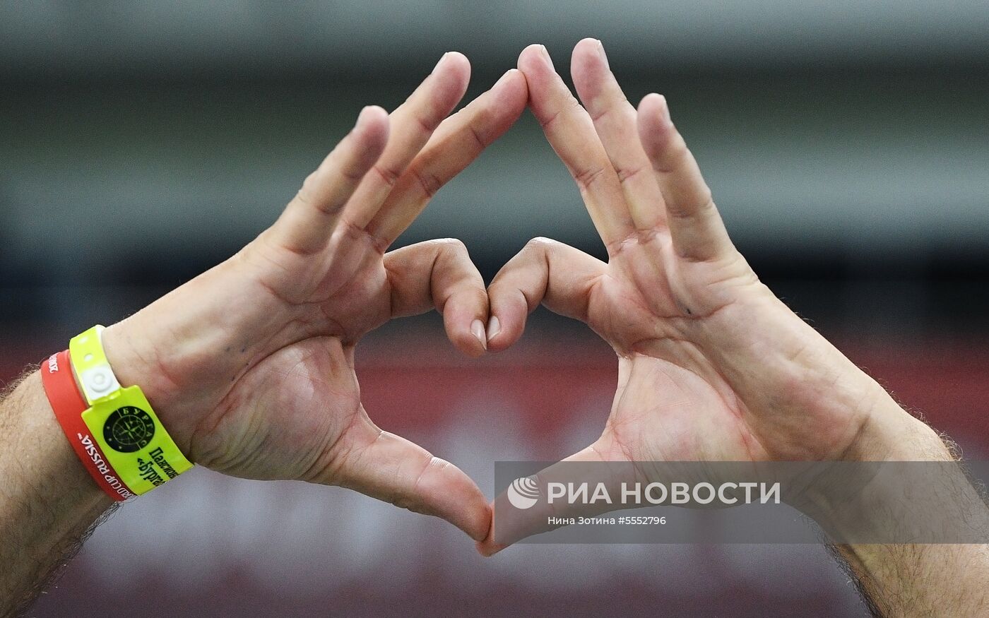 Болельщики перед матчем ЧМ-2018 по футболу между сборными Германии и Швеции