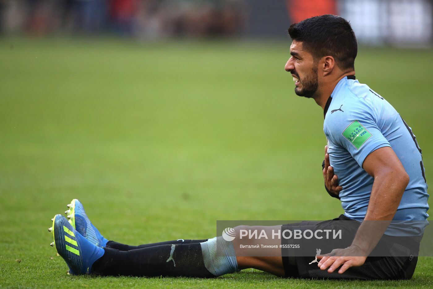 Футбол. ЧМ-2018. Матч Уругвай - Россия