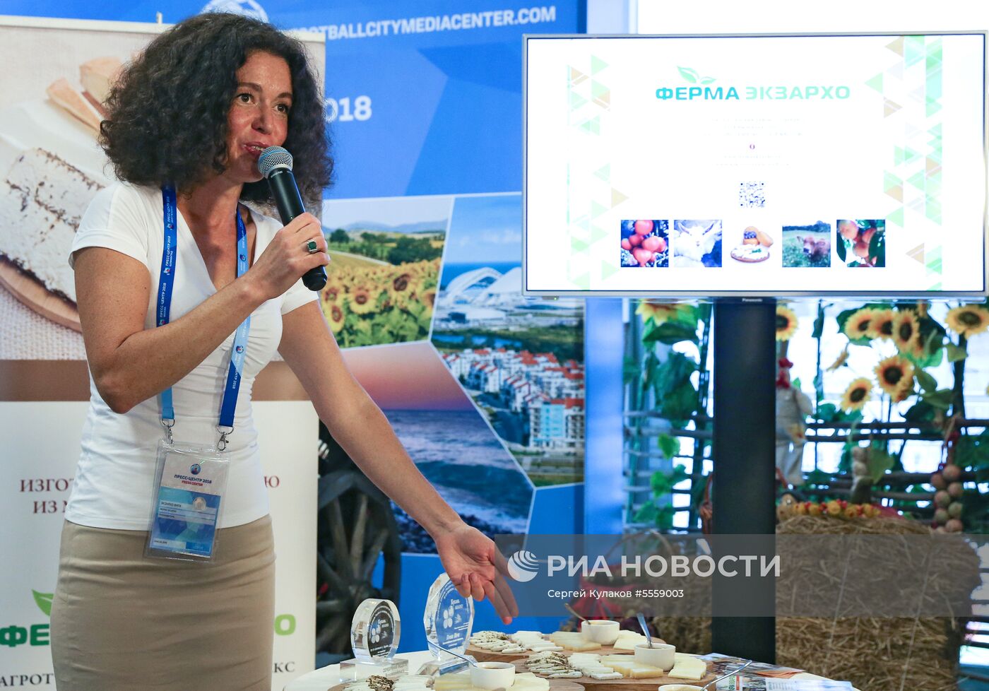 Мероприятия в городских пресс-центрах ЧМ-2018 по футболу