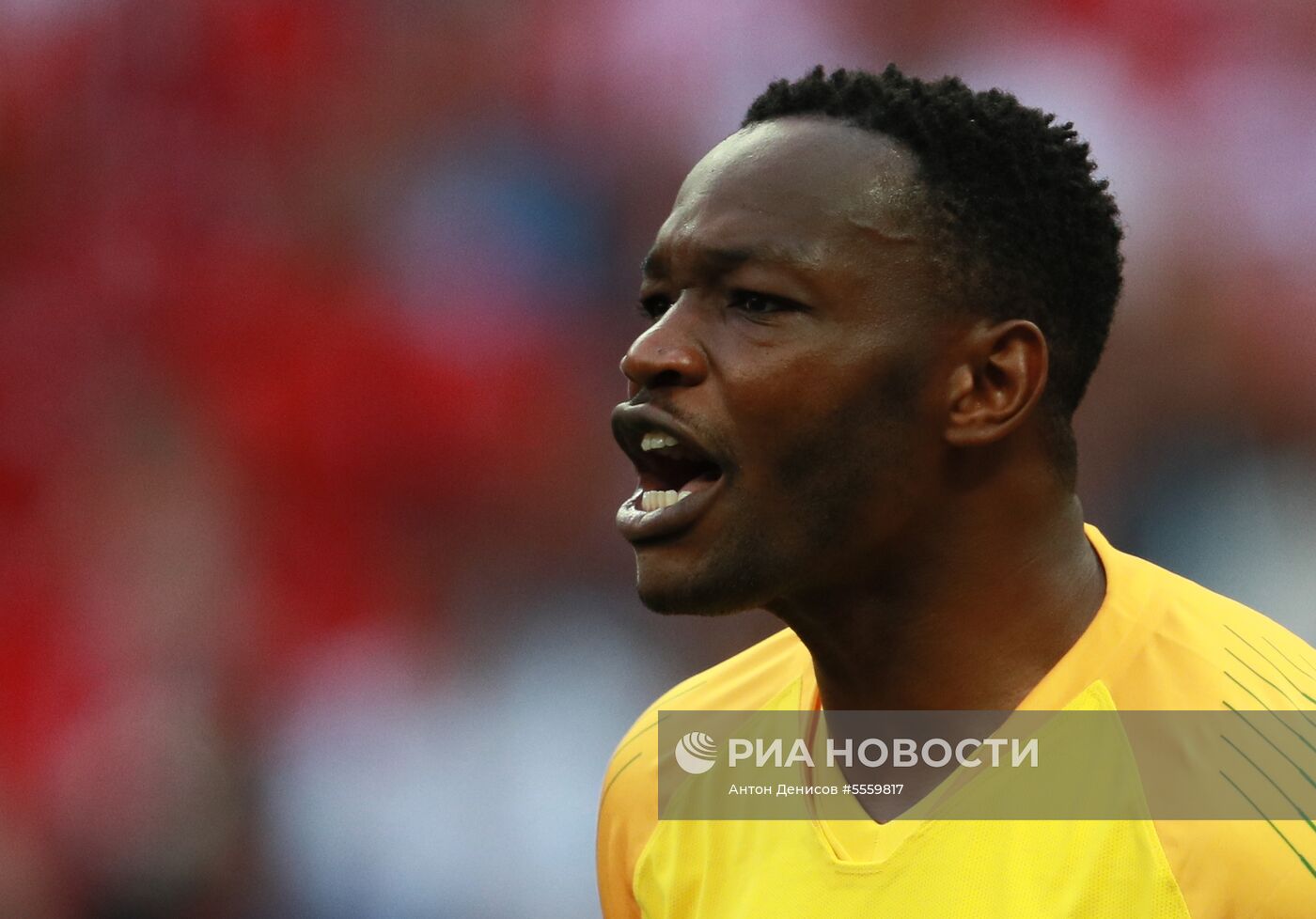 Футбол. ЧМ-2018. Матч Дания - Франция