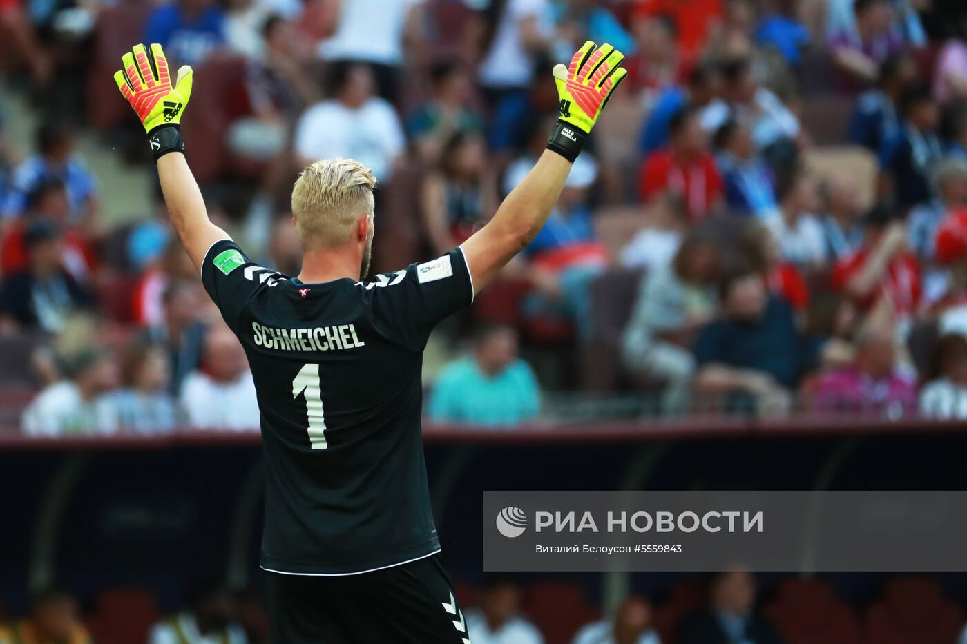 Футбол. ЧМ-2018. Матч Дания - Франция