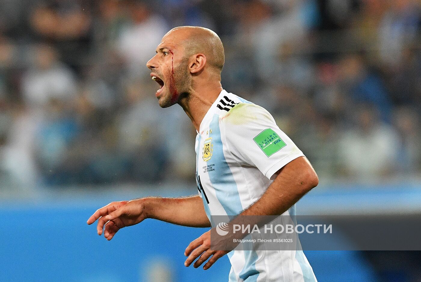 Футбол. ЧМ-2018. Матч Нигерия - Аргентина