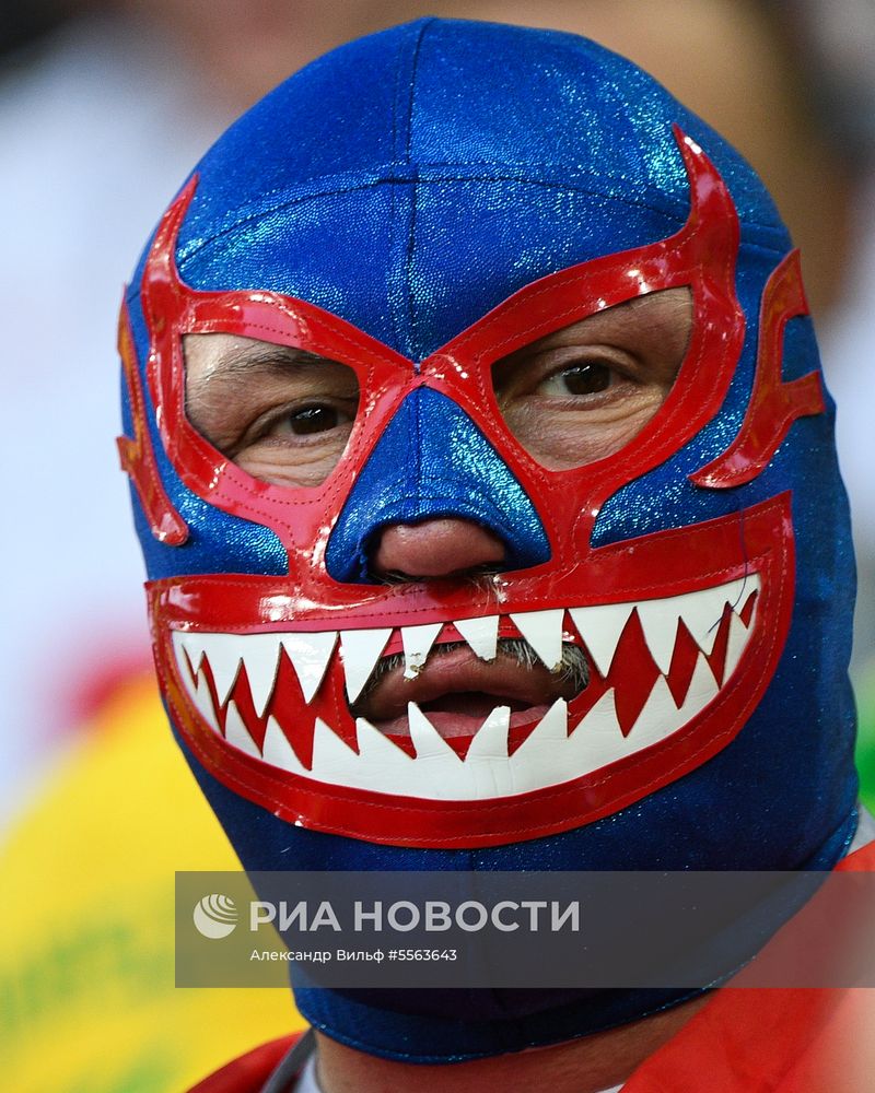Болельщики перед матчем ЧМ-2018 по футболу между сборными Сербии и Бразилии