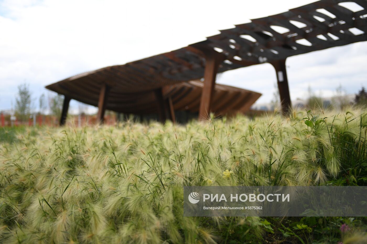 Парк "Тюфелева роща" в Москве