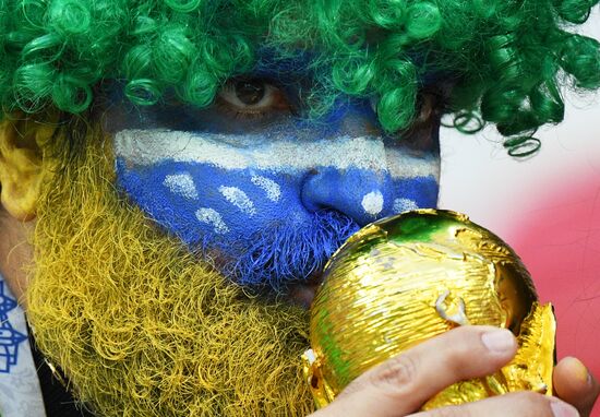 Болельщики перед матчем ЧМ-2018 по футболу между сборными Бразилии и Бельгии 