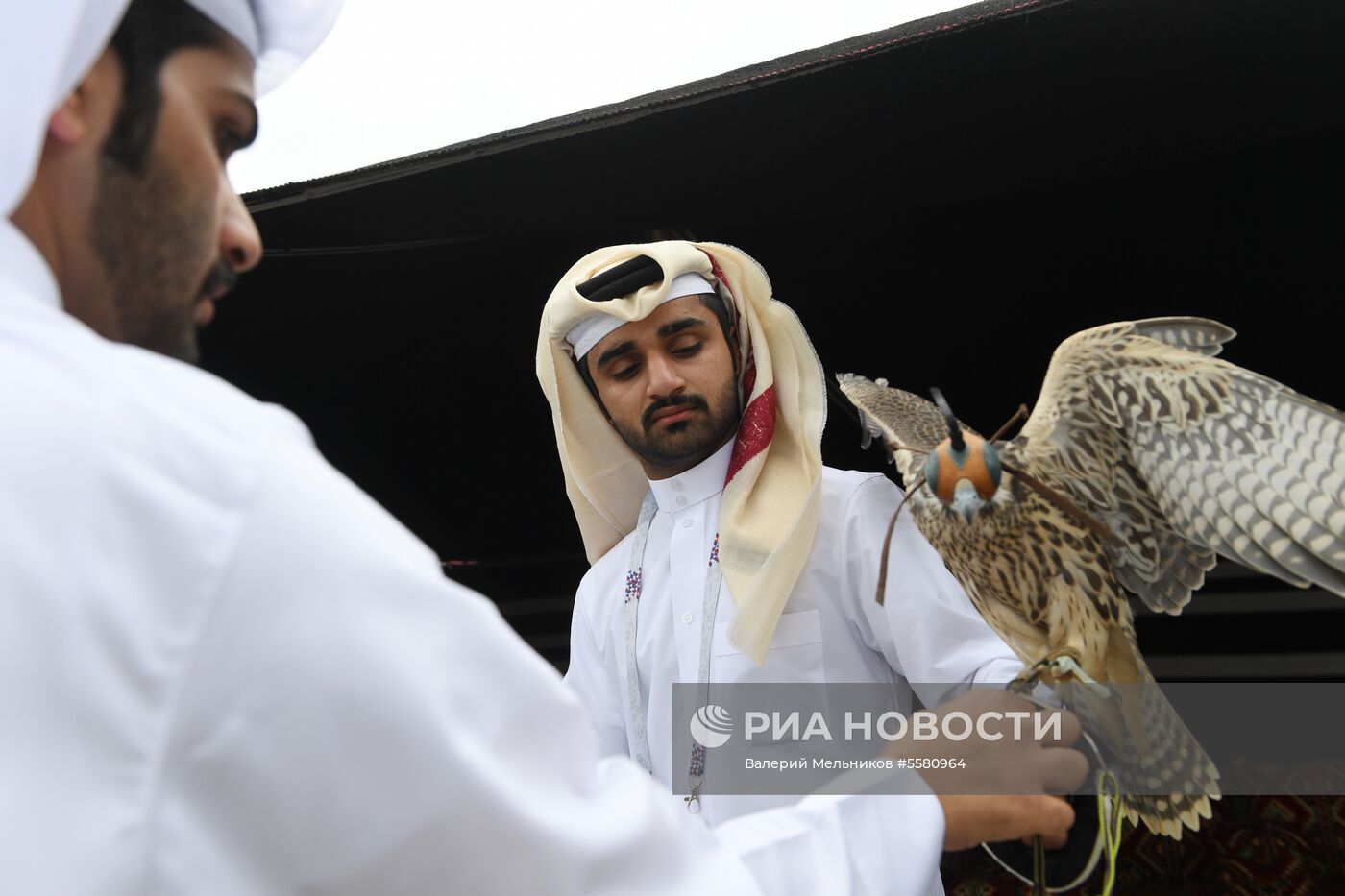 Открытие павильона "Мажлис Катар" в Парке Горького