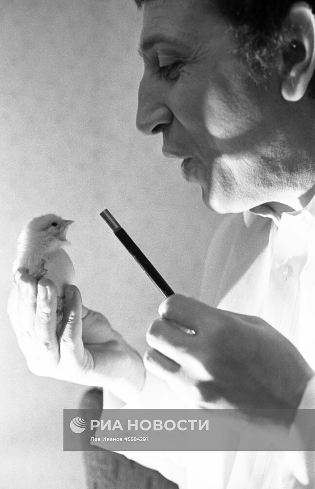 Иллюзионист Игорь Эдлин