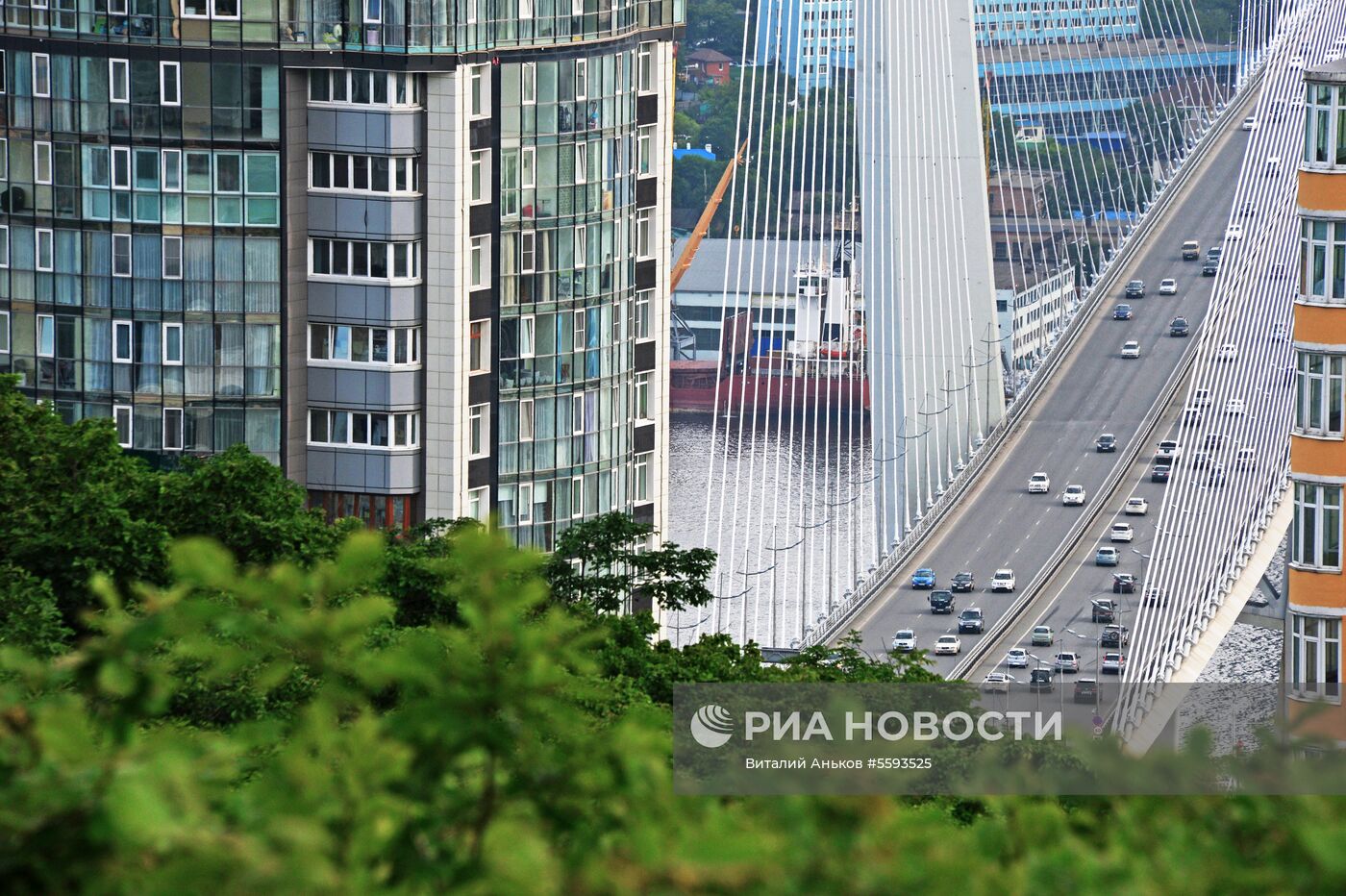 Города России. Владивосток