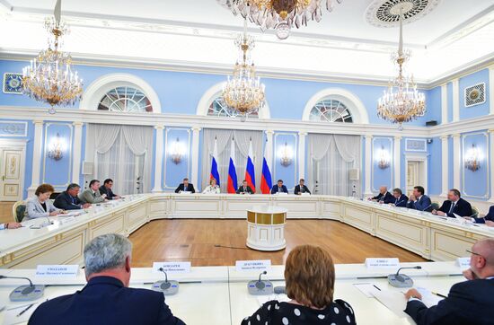 Премьер-министр РФ Д. Медведев провел встречу с членами Совета палаты Совета Федерации