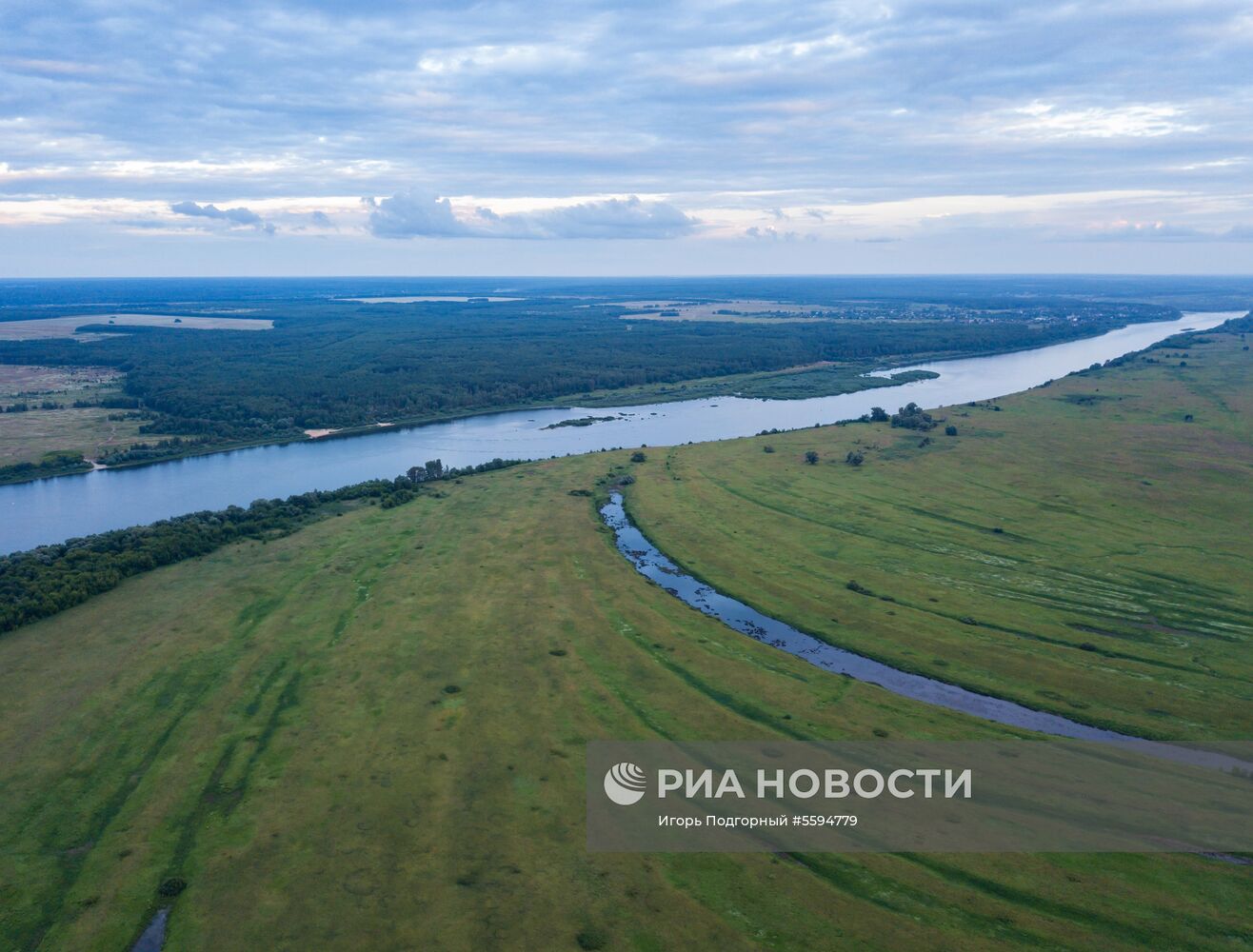 Рязанская область
