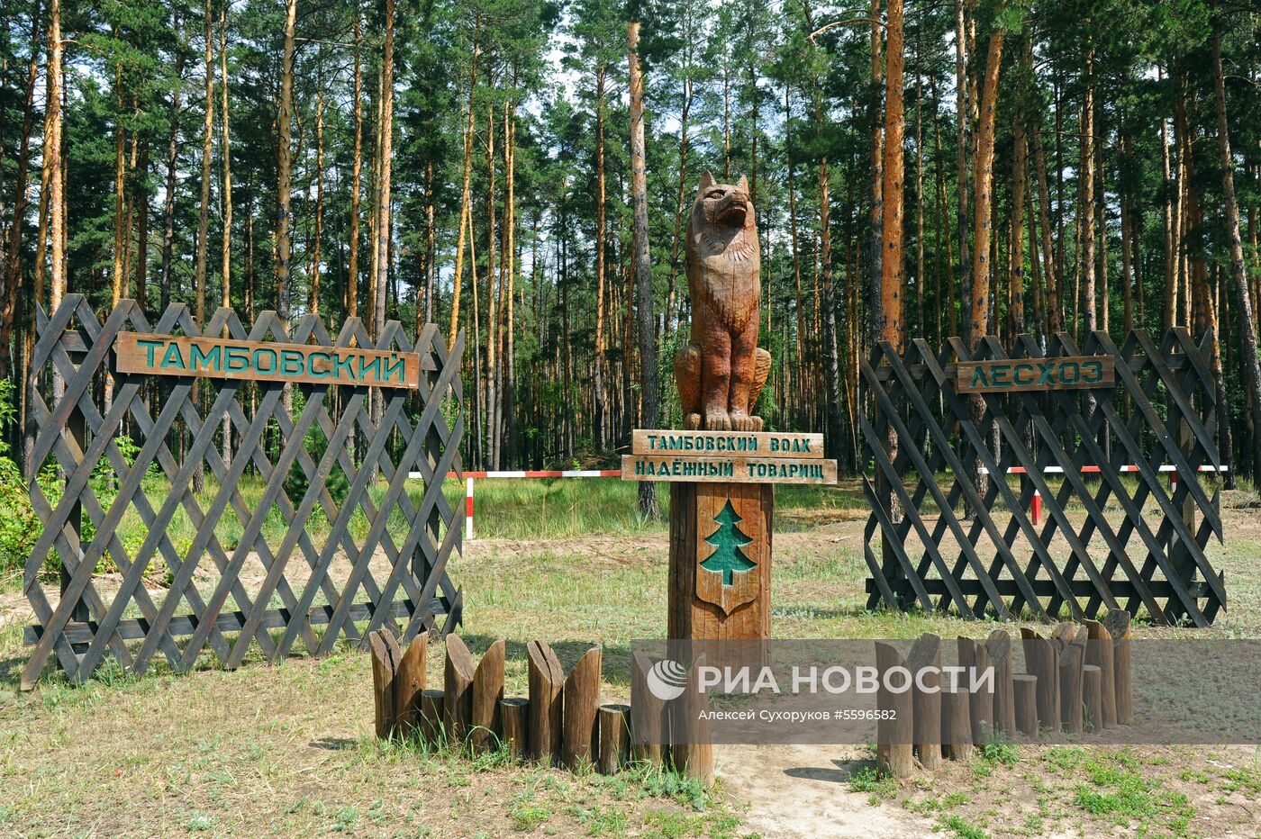 Города России. Тамбов