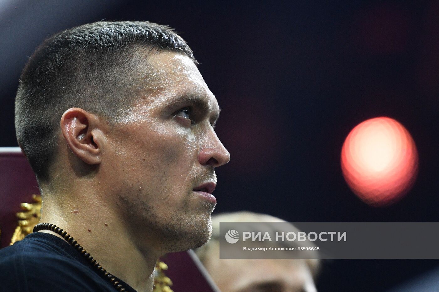 Бокс. Бой М. Гассиева и А. Усика