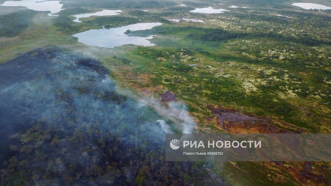 Лесные пожары в Мурманской области