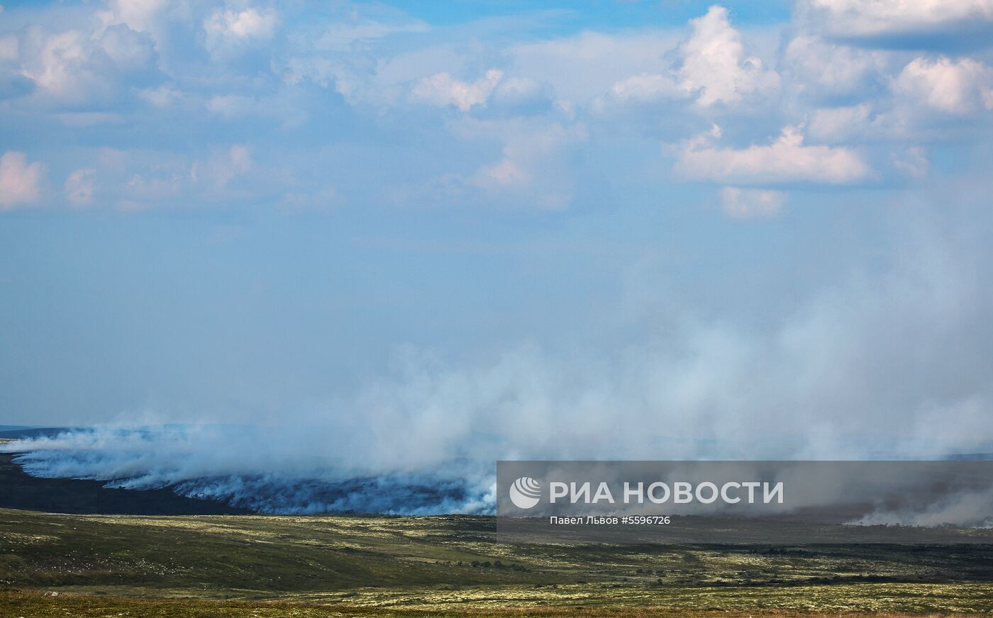 Лесные пожары в Мурманской области