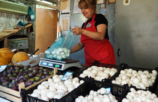 Россельхознадзор запрещает поставки шампиньонов из Белоруссии