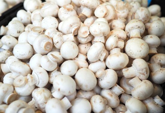 Россельхознадзор запрещает поставки шампиньонов из Белоруссии