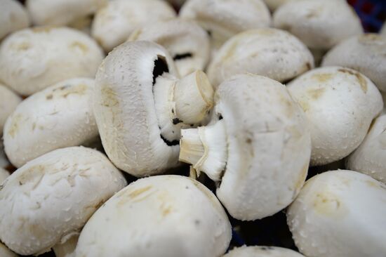 Россельхознадзор запрещает поставки шампиньонов из Белоруссии