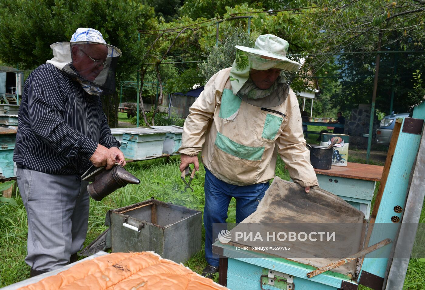 Сбор меда в Абхазии