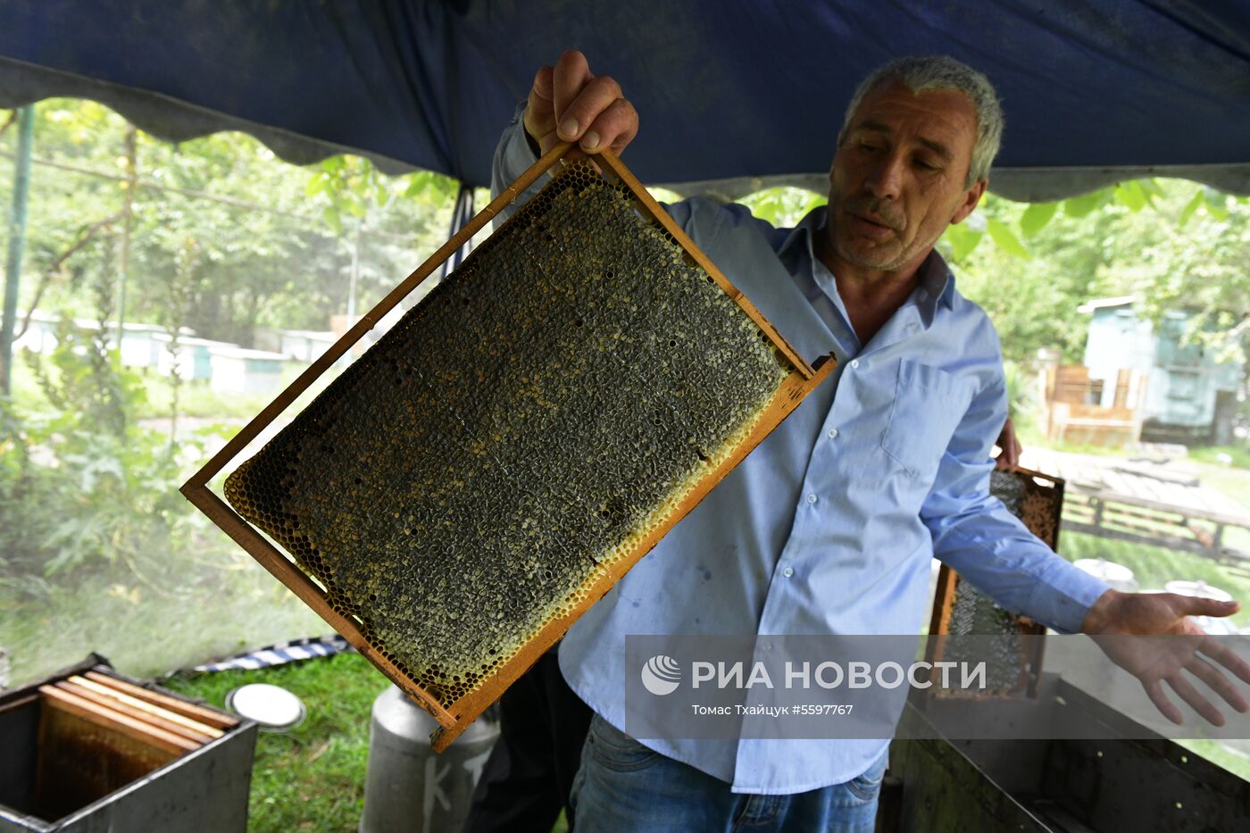 Сбор меда в Абхазии