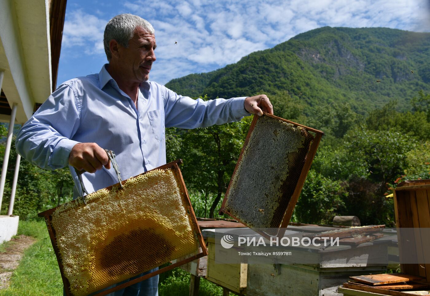 Сбор меда в Абхазии