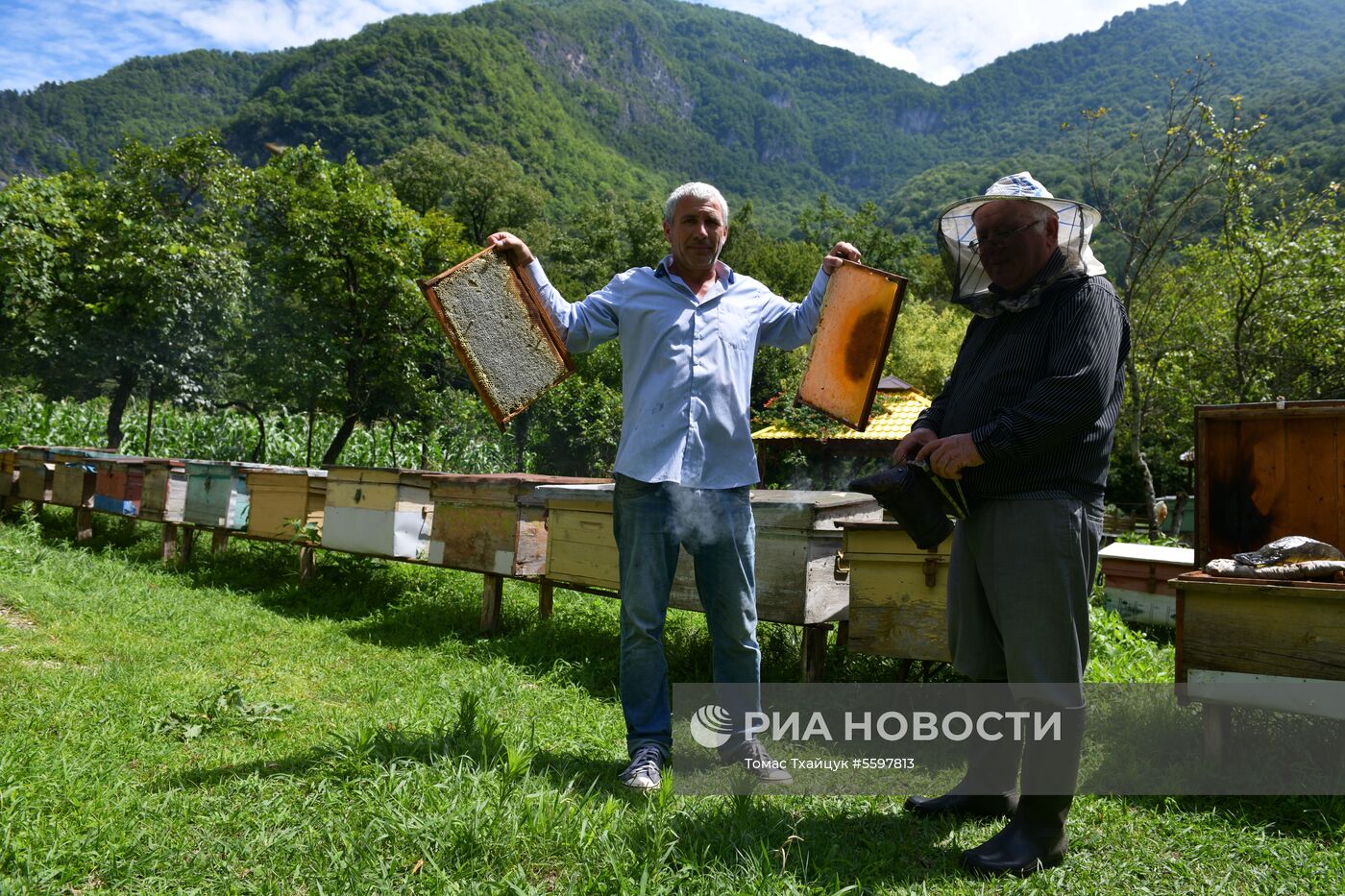 Сбор меда в Абхазии