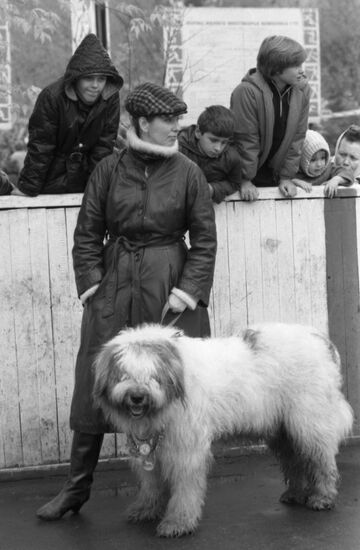 Выставка собак общества "ДОСААФ"