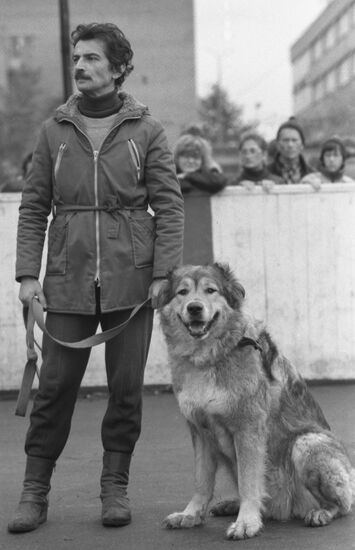 Выставка собак общества "ДОСААФ"