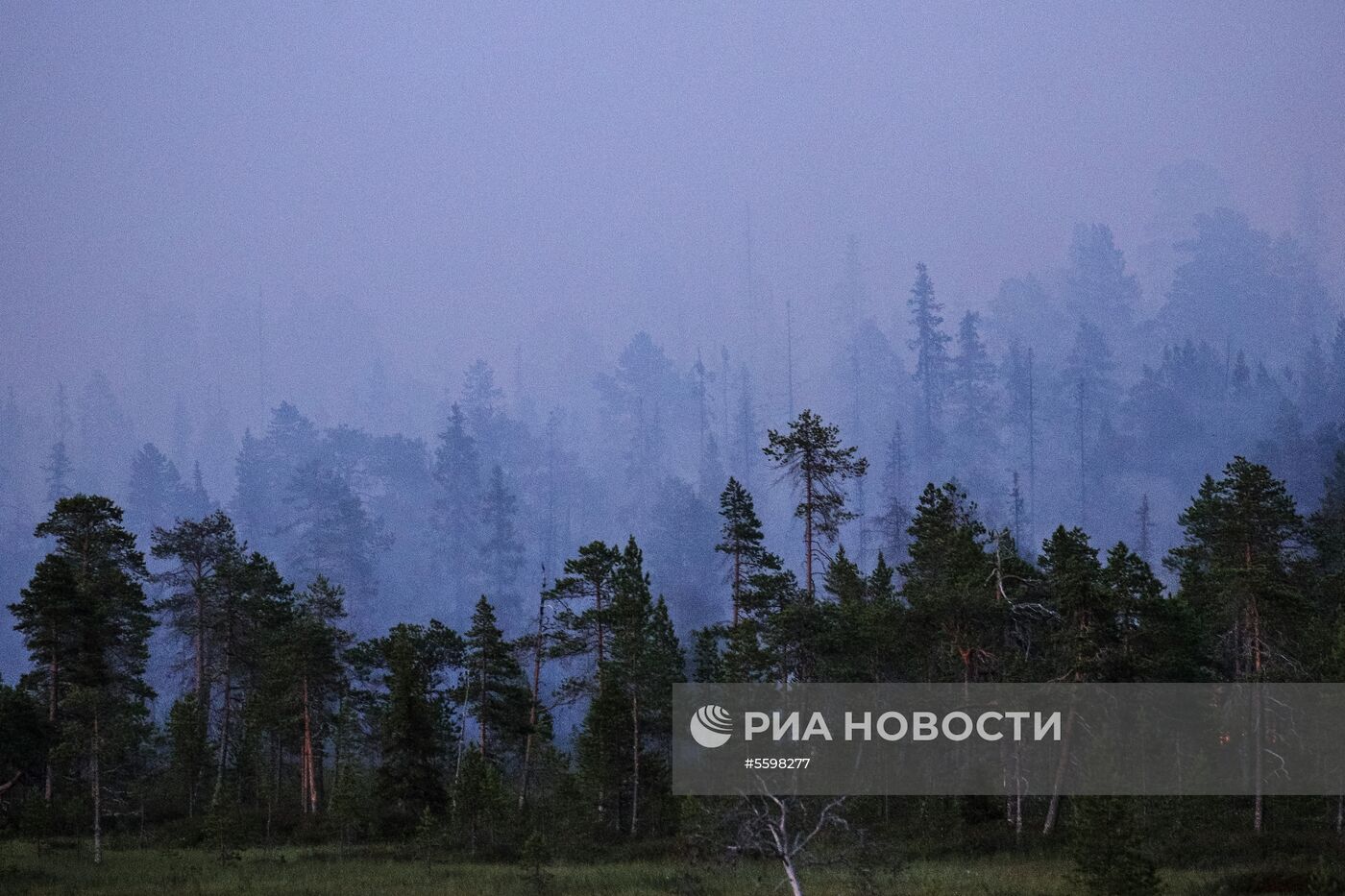 Пожар в Мурманской области