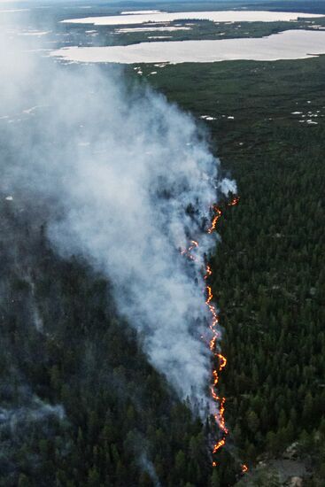Пожар в Мурманской области