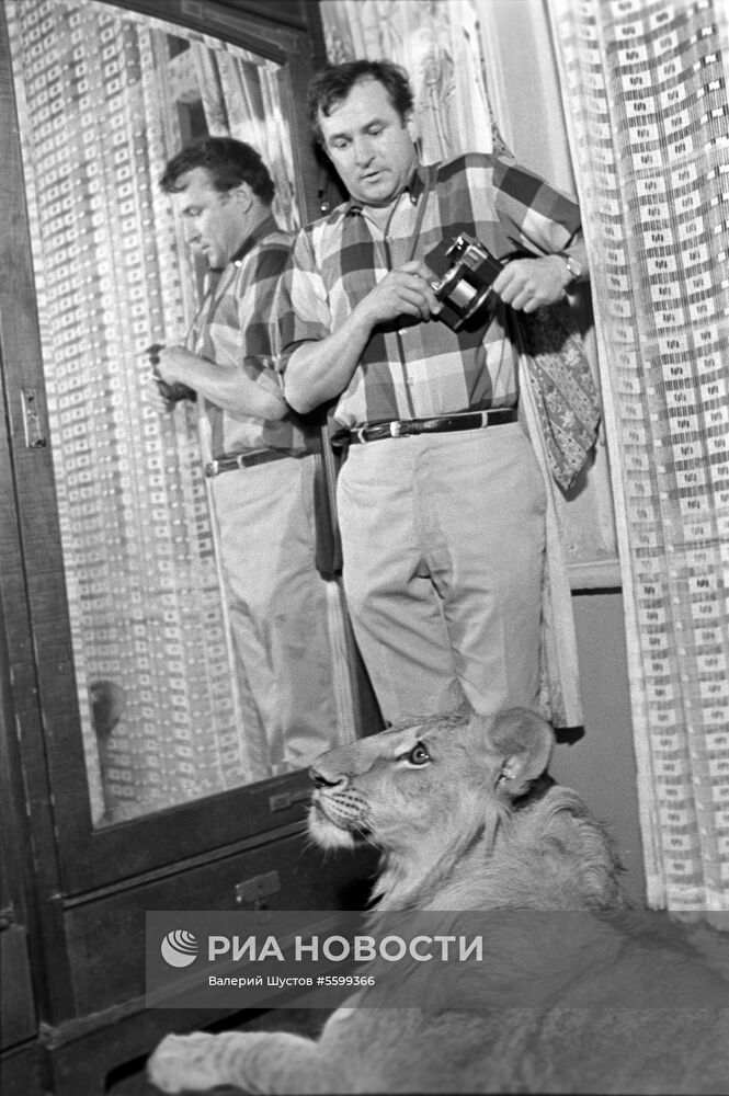 Домашний лев семьи Берберовых