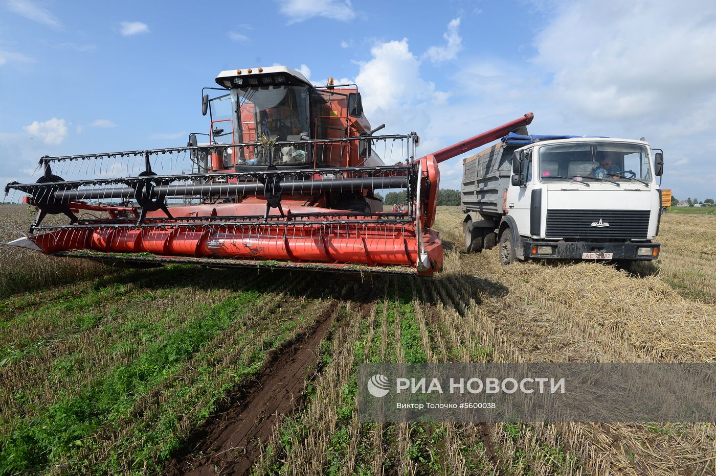 Уборка зерна в Брестской области