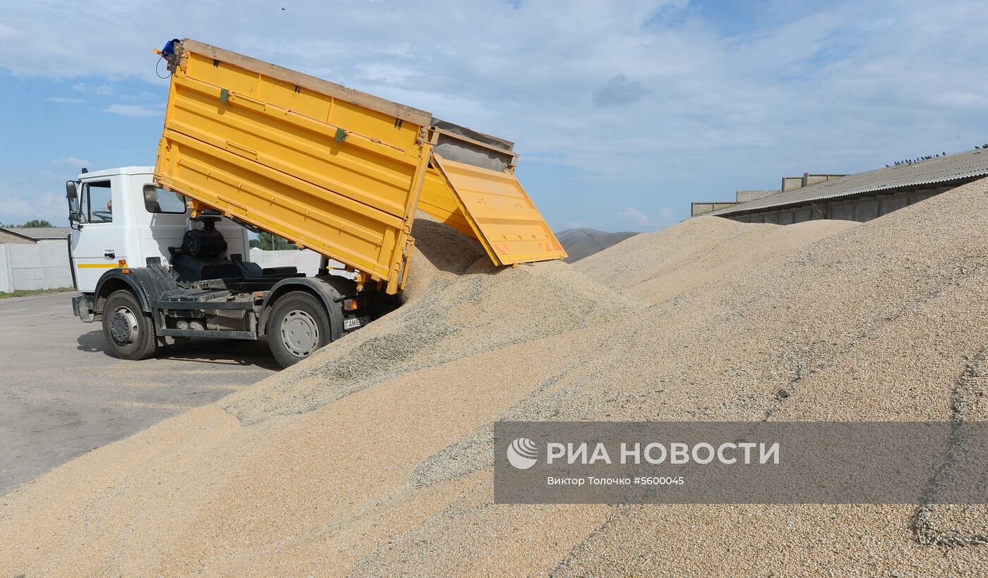Уборка зерна в Брестской области