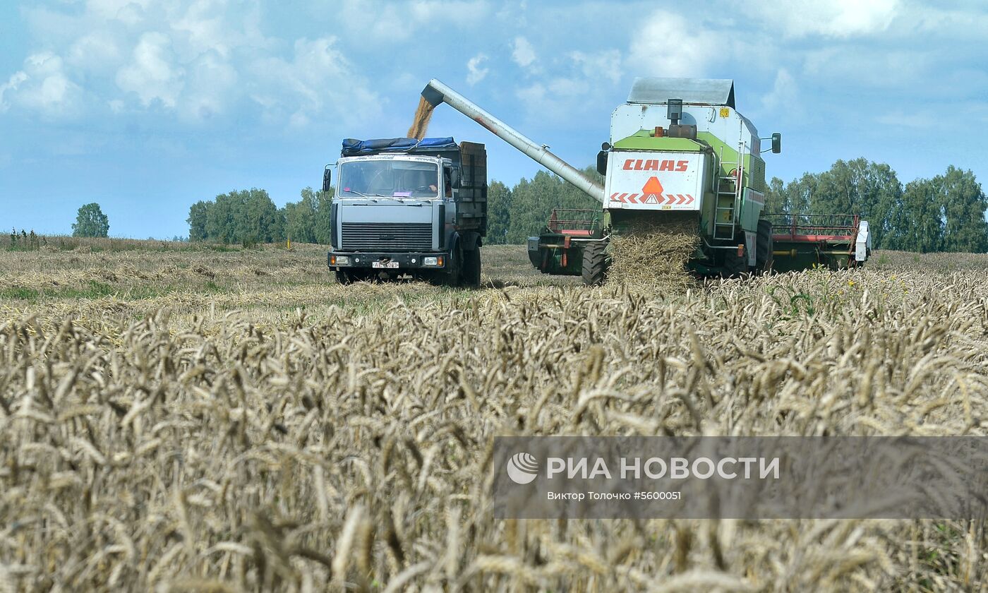 Уборка зерна в Брестской области