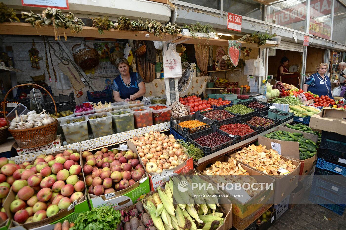 Продажа дынь и арбузов в Москве. 