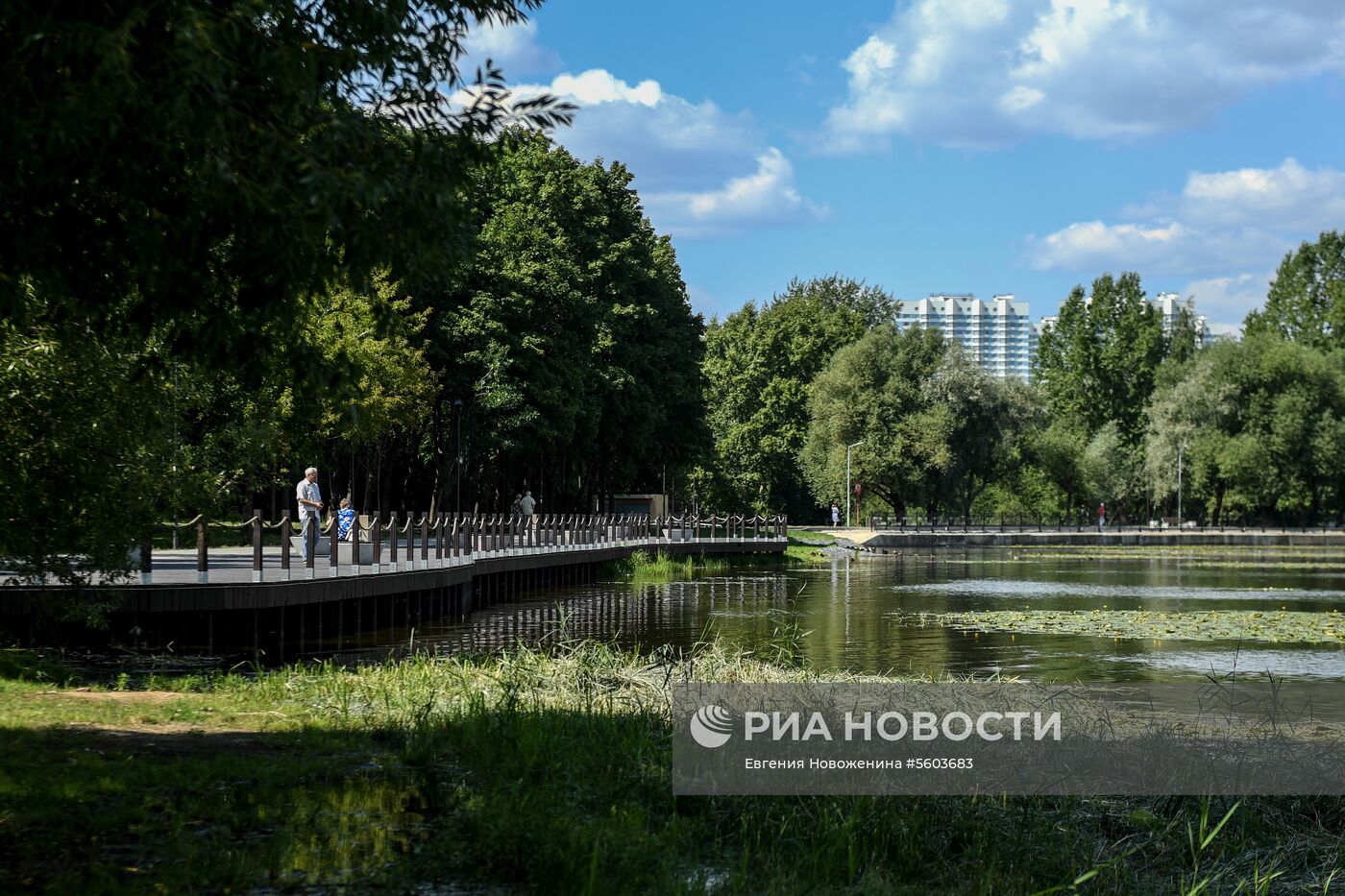 Благоустройство в парке "Усадьба Михалково"