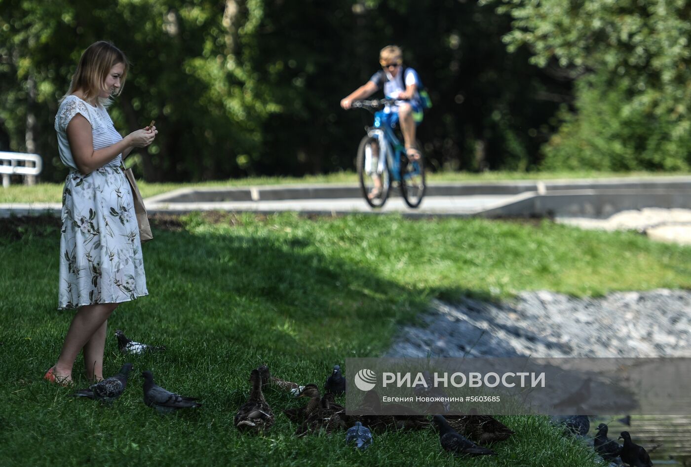 Благоустройство в парке "Усадьба Михалково"