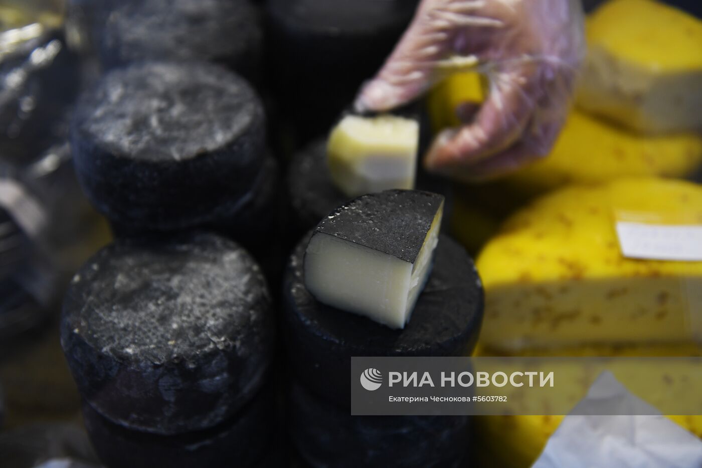 Всероссийский фестиваль сыра на ВДНХ