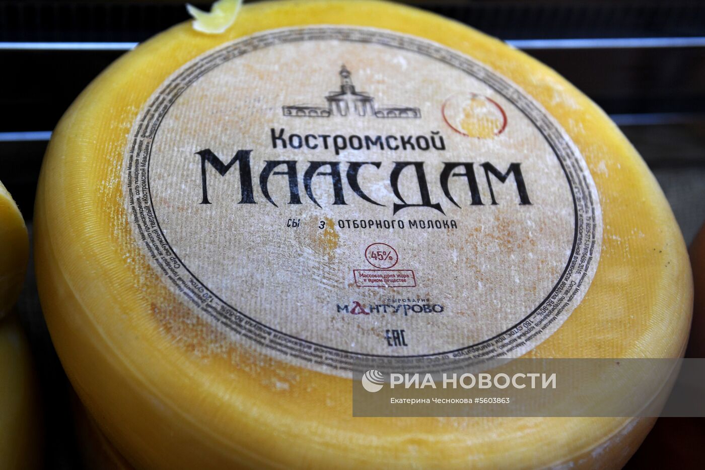 Всероссийский фестиваль сыра на ВДНХ