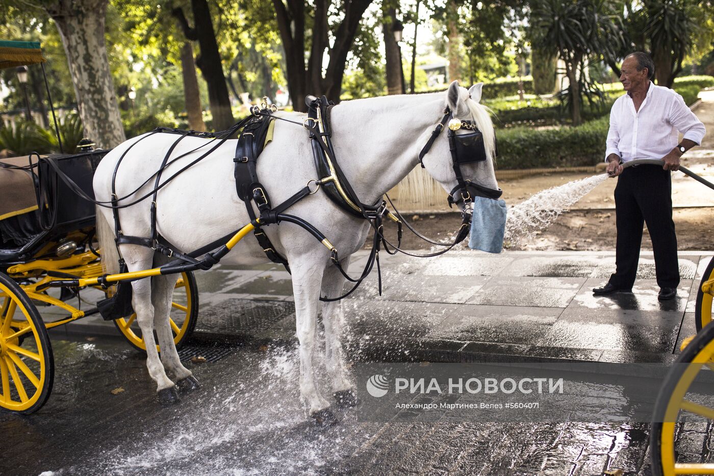 Жара в Испании