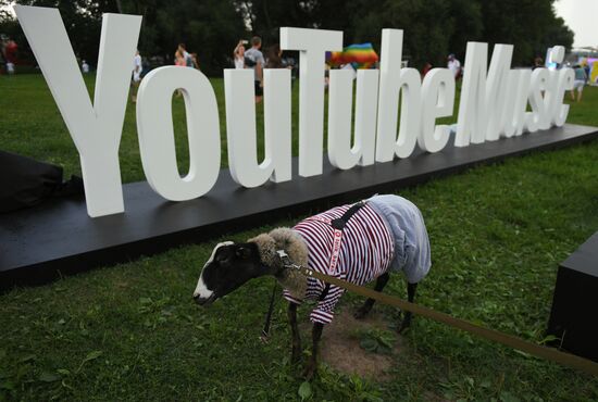 Музыкальный фестиваль "Пикник Афиши"