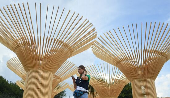 Музыкальный фестиваль "Пикник Афиши"