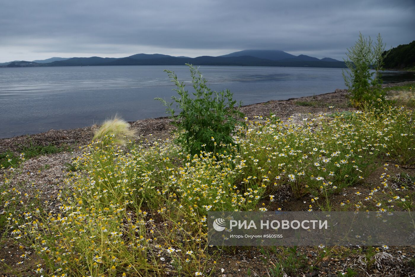 Остров Путятина в Приморском крае