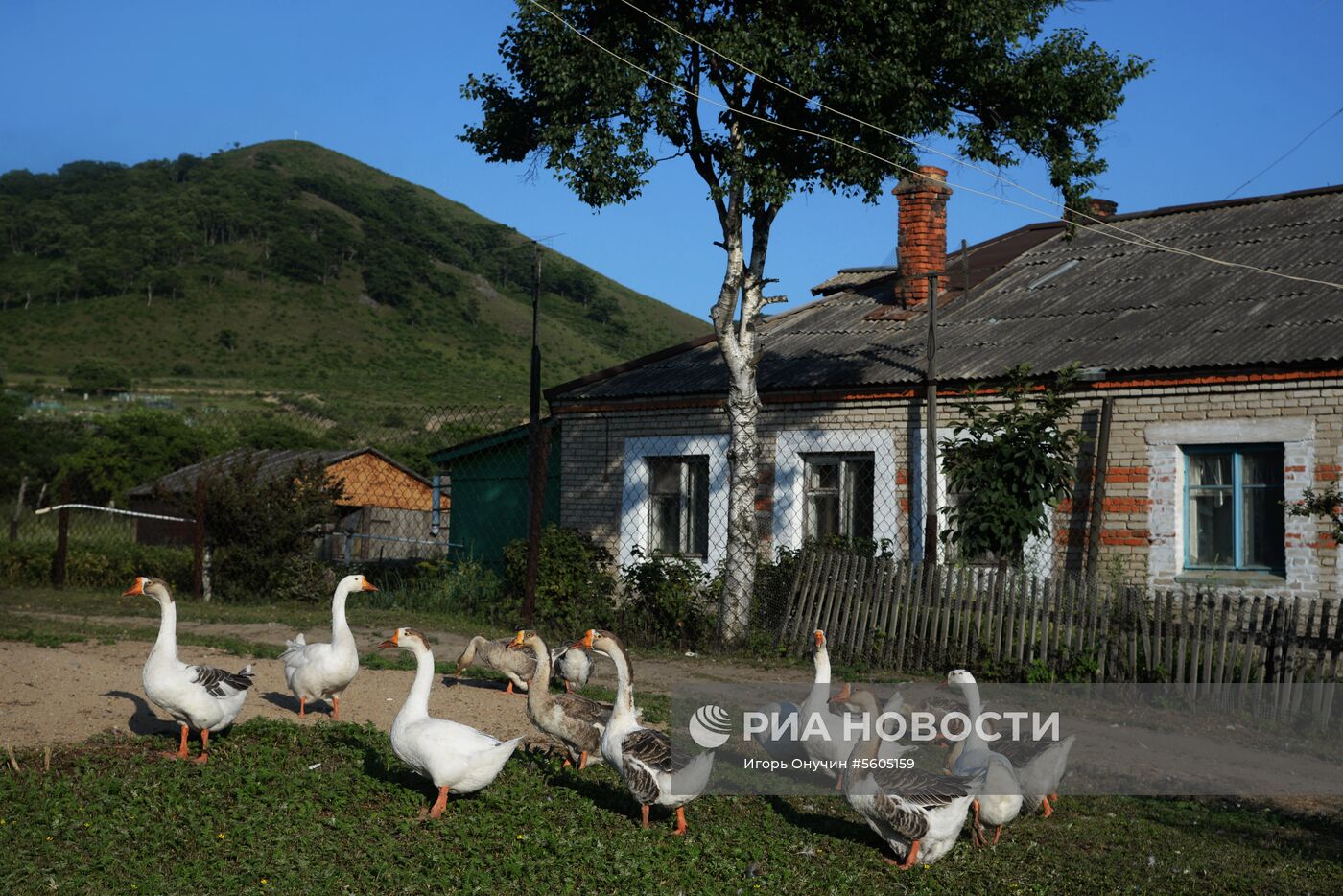 Остров Путятина в Приморском крае